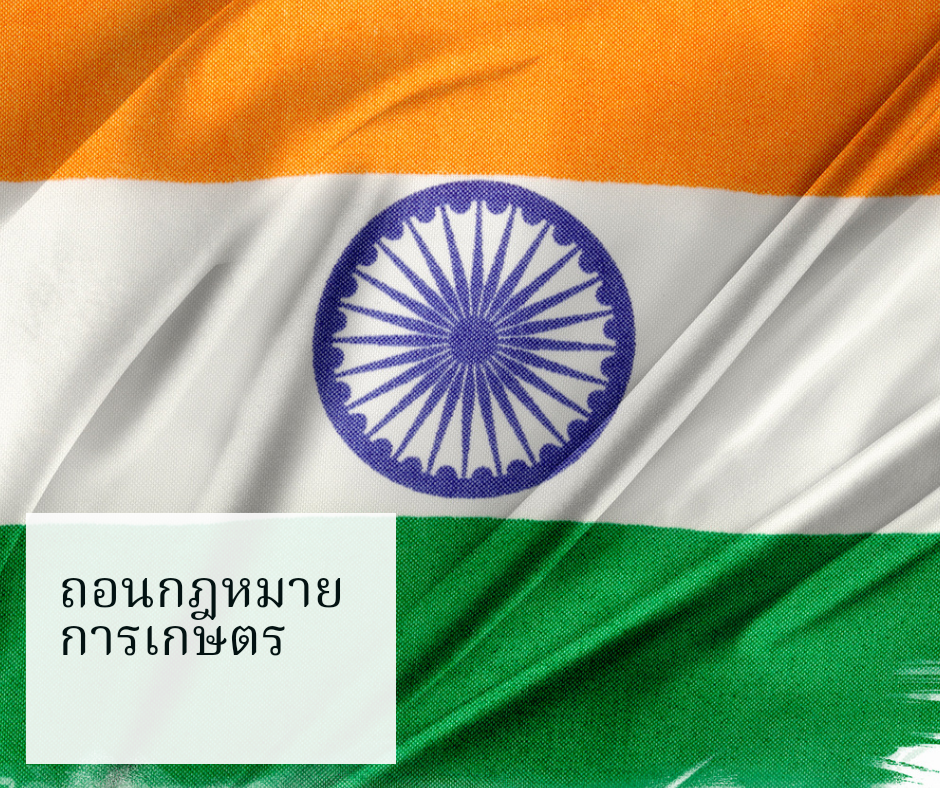 20211123_222505_0000