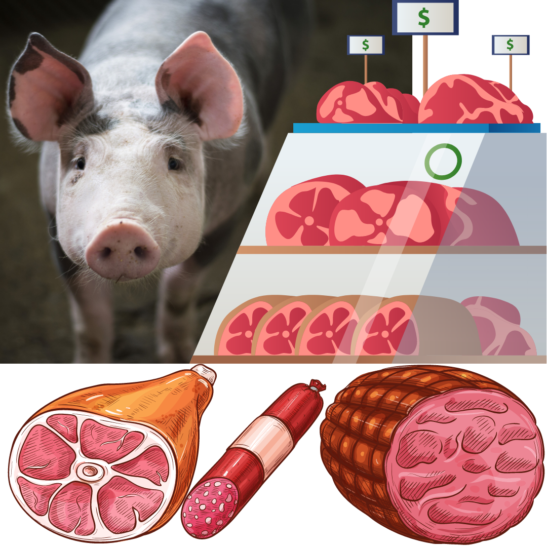 650118 pork price_png