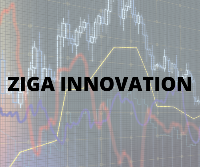 650228 ZIGA Innovation