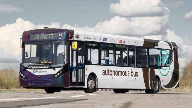 bus