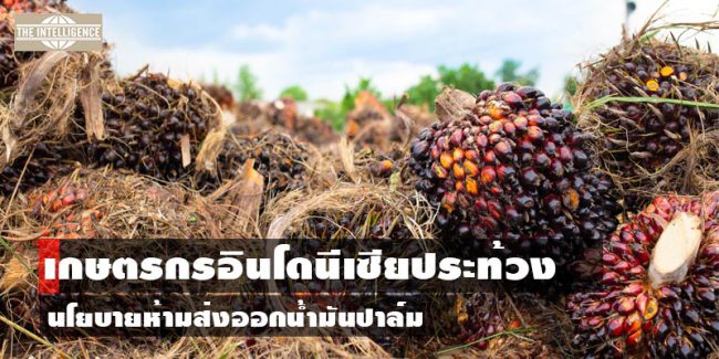 palm-oil