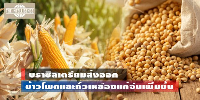 บราซิล