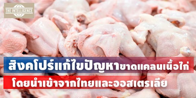 สิงคโปร-ไก่