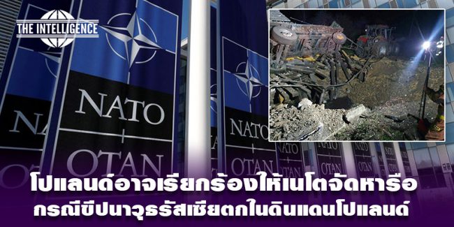 เนโตโปแลนด์