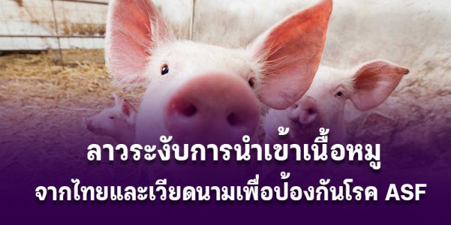 Laos-ban-pork