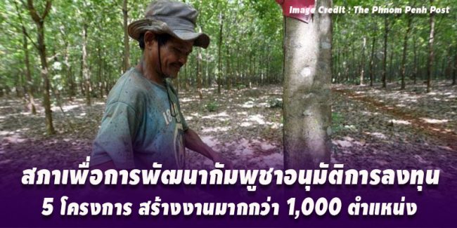 AD77F16E-7749-4D8F-BC6B-39B45FA09997