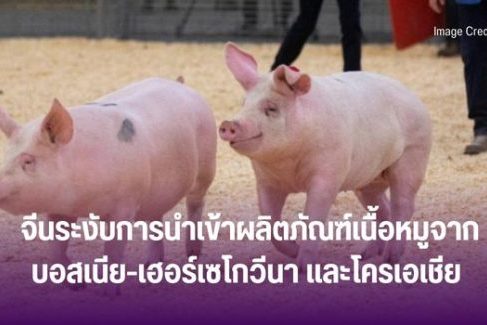 จีนระงับการนำเข้าผลิตภัณฑ์เนื้อหมูจาก บอสเนีย-เฮอร์เซโกวีนา และโครเอเชีย
