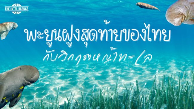 ลูกลม – 2