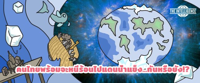 บทความ