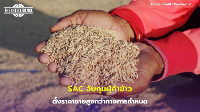 rice.