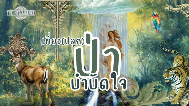 เที่ยว (ปลูก) ป่า