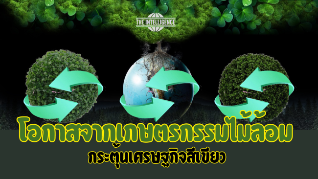 เกษตรกรรมไม้ล้อม เพื่อกระตุ้นเศรษฐกิจสีเ