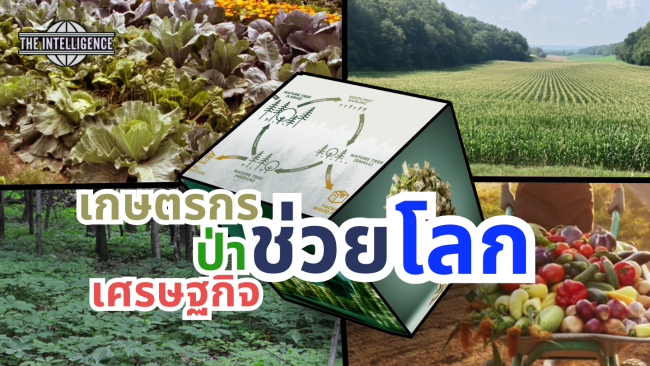เกษตรกร ป่า เศรษฐกิจ โลก