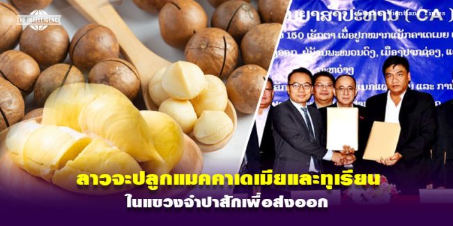 241267-Lao