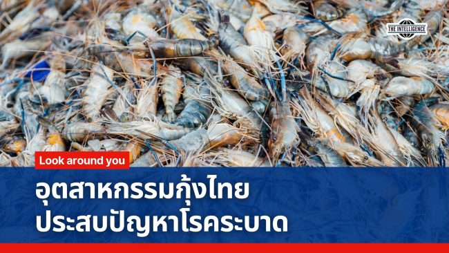 Red and Blue Modern Simple Breaking News Video (2)