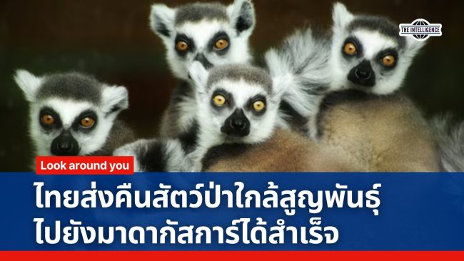Red and Blue Modern Simple Breaking News Video (6)