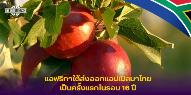รูปข่าว – 43