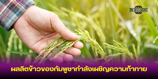 หน้าปกข่าว (1)