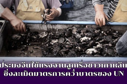 เรือประมงจีนใช้แรงงานลูกเรือชาวเกาหลีเหนือซึ่งละเมิดมาตรการคว่ำบาตรของ UN