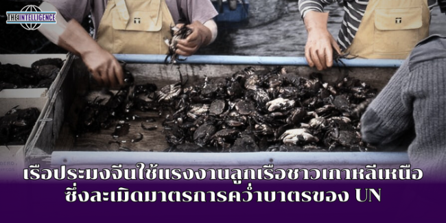 เรือประมงจีนใช้แรงงานลูกเรือชาวเกาหลีเหนือซึ่งละเมิดมาตรการคว่ำบาตรของ UN