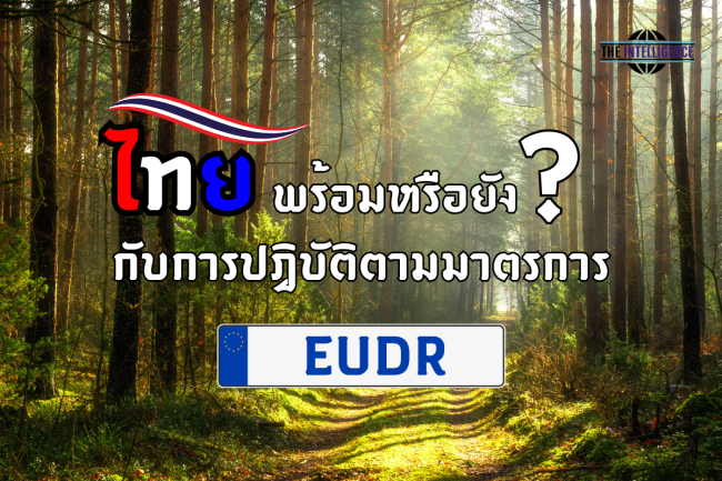 ไทยพร้อมหรือยังกับการปฏิบัติตามมาตรการ EUDR
