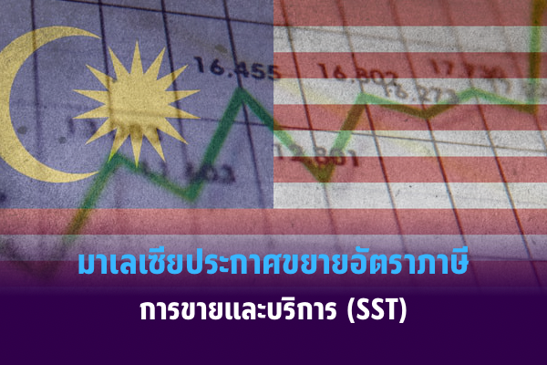 ปกข่าว Intsharing – 8