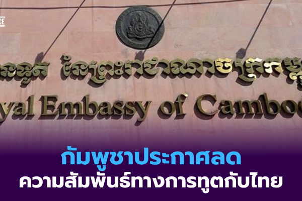 The Intelligence (1)