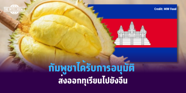 เเเเเเเเ (3)