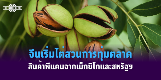 เเเเเเเเ139