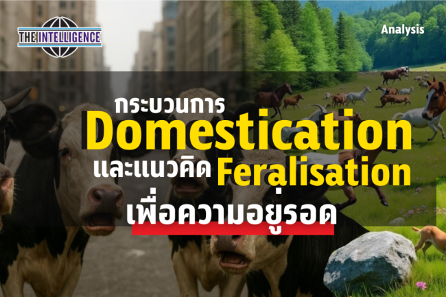 รูปบทความ (33)