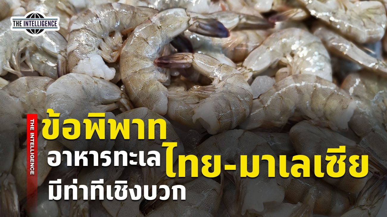 150669 Maly-Shrimp