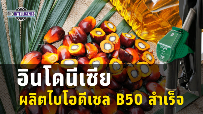 รูปประกอบ – 2026-07-14T132901.359_0