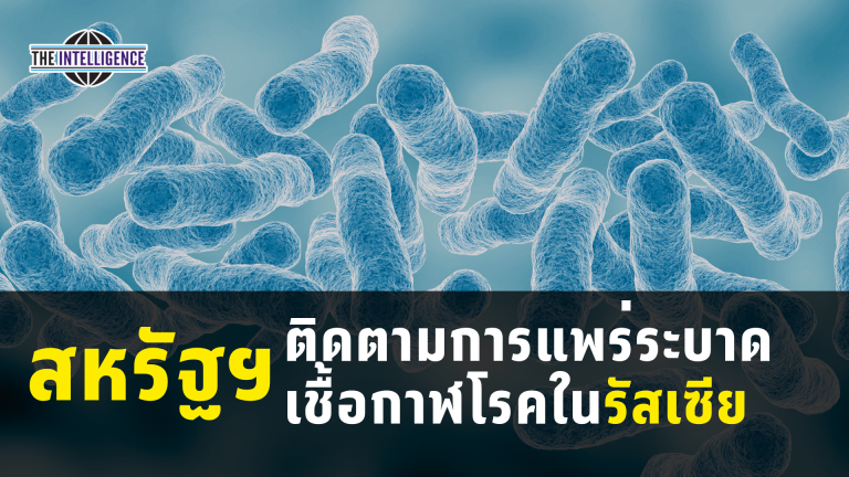 รูปประกอบ – 2026-10-08T162352.655_0